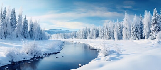 White Winter Wonderland, The Refreshing Beauty of Nature