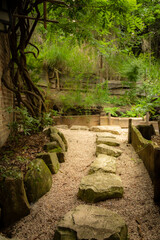 Japanese garden in spring with a stone path
