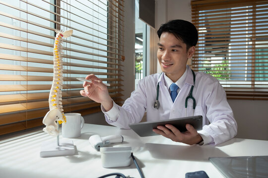 Model of the spine on a table in a therapist's office.