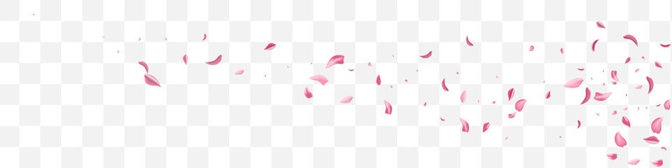 Pink Blossom Beauty Vector Transparent Panoramic