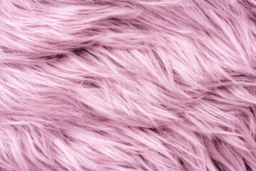 Pink fur texture top view. Pink sheepskin background. Fur pattern. Texture of pink shaggy fur. Wool...