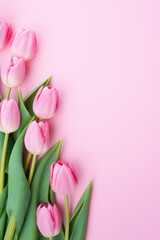 Pink tulips flowers on pink background, greeting card, with space for text