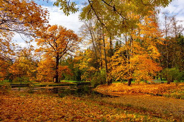 Autumn foliage in Catherine park, Pushkin, Saint Petersburg, Russia