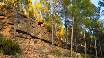 Sedimentary rock strata and pine forests during sunset on the slopes of La Muela mountain in...