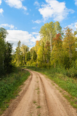 Fototapeta na wymiar Sandy road with a left turn in an autumn forest with tall trees and bushes. Nature landscape in early autumn.