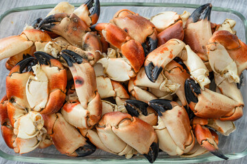 Stone crab claws. Colossal Crab claws served. Classic appetizer or entree, boiled Crab claws, seafood