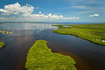 View from above of Florida everglades with green vegetation between ocean water inlets. Natural...