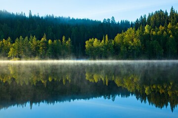 Tranquil lake surrounded by fog in a lush green forest area