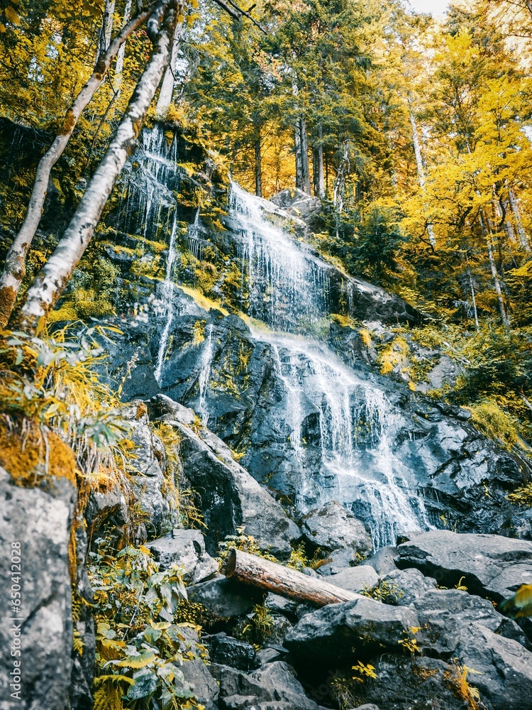 Sticker the waterfall is falling down in the forest with yellow leaves on the ground