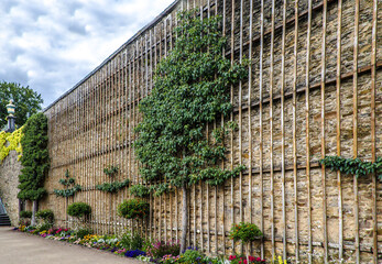 Espalier fruit trees