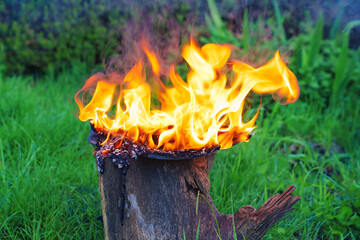 burning an object on a stump in a meadow.  - obrazy, fototapety, plakaty