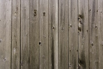 Naklejka premium Closeup of a vibrant wooden surface under the bright light