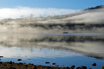 Fototapeta premium Misty foggy summer morning in Winter Harbour, Vancouver Island, BC Canada.
