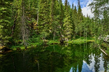 Tranquil landscape of natural scenery in Pyha- Luosto National Park in Lapland, Finland