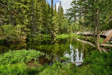 Fototapeta na wymiar Tranquil landscape of natural scenery in Pyha- Luosto National Park in Lapland, Finland