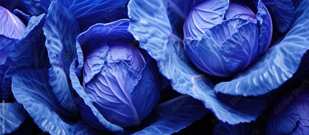 Poster close up top view macro photography of raw purple cabbage with a textured background