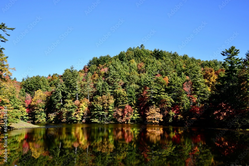 Poster a lake with trees in the background that has some color