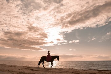Beautiful female rider atop a majestic horse galloping along a sandy beach at sunset