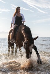 Beautiful woman riding a majestic horse galloping along a sandy beach