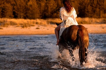 Beautiful woman riding a majestic horse galloping along the water on a beach
