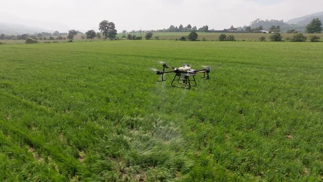 Drone fumigating barley