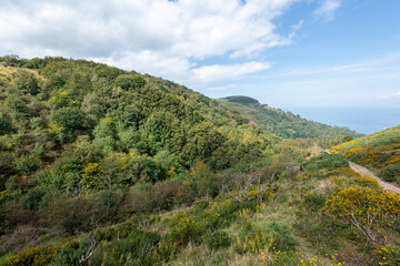 Photo of the footpath leading down to Glenthorne beach in Exmoor National Park