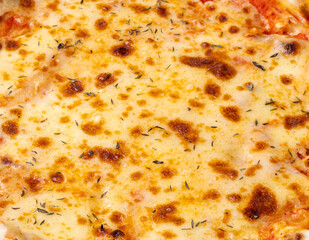 Closeup of mozzarella cheese style pizza