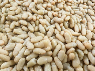 Controne beans, a typical Cilento legume