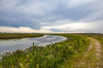Fototapeta na wymiar A view out over the marshy Big Creek National Wildlife Area near Port Rowan, Ontario on a gloomy day.
