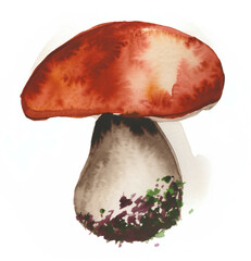 Namalowany grzyb borowik ilustracja - obrazy, fototapety, plakaty