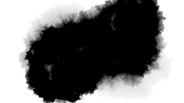 Black ink stain on a white background
