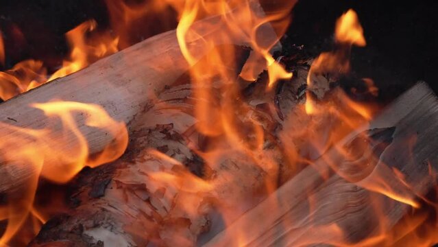 Fire flames from large logs. warm bonfire, fireplace ready for barbecue. bonfire flame closeup. outdoor fire