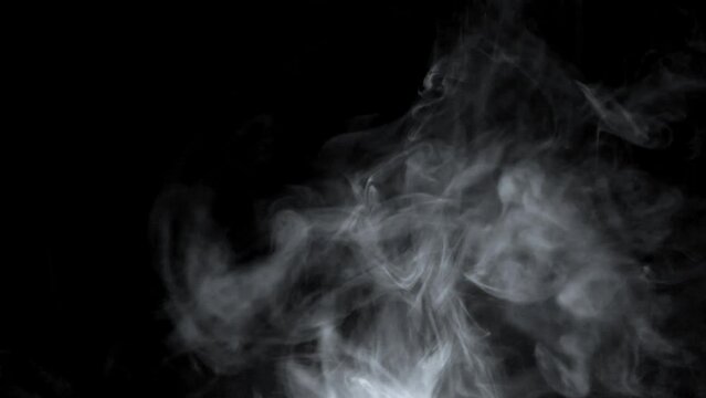 Smoke. Cloud of cold fog in blue light spot on black background. Abstract white smoke in slow motion. Light, white, fog, cloud, abstract, smoke, black, background, 4k, ice smoke cloud. Floating fog.