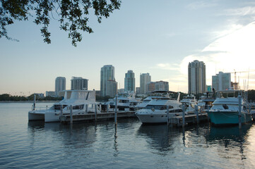 Fototapeta na wymiar Vinoy Yacht Basin Marina in St. Petersburg, Florida and Park in the late afternoon sun. Boats and skyline buildings in the background. Green grass.