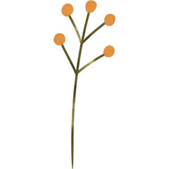 Orange Flower Watercolor