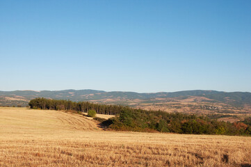 Obraz premium Yellow field after harvest against the mountains background