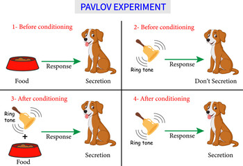 Pavlov's dog experiment . Vector illustration