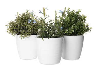 Artificial potted herbs on white background. Home decor