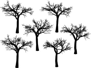 Obraz premium Vector sketch illustration of a tree in autumn without leaves with many branches