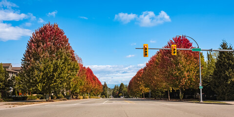 Driving along the beautiful autumn road. Fall scenery of long rows of golden red trees along an avenue in autumn foliage