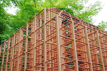 Jungle gym in the garden