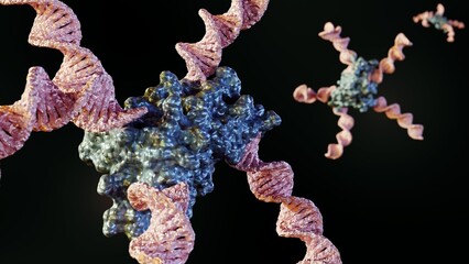 DNA or nucleic acid and protein conjugate as a building blocks for programmable nanoassemblies 3d rendering