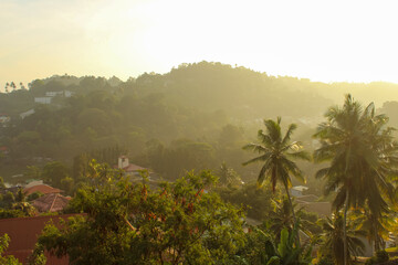Fototapeta na wymiar Magical light at the jungles in Kandy, Sri Lanka in the early morning