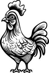chicken cartoon