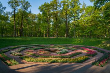 View of the alley and flower bed with tulips in Gatchina Park on a sunny summer day, Gatchina, Leningrad region, Russia