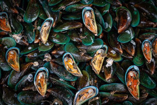 Asian green mussel was displayed and sale in Thailand seafood market