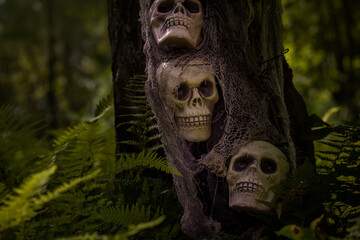 Halloween decorations in a gloomy dark forest. Skull and skeletons in a dark forest.