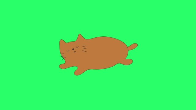 Animation cute cat activity on green background.