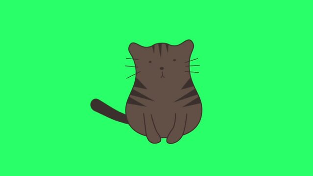 Animation cute cat activity on green background.