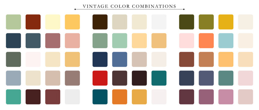 Vintage color palette. Trend color palette guide template. An example of a color palette. Forecast of the future color trend. Match color combinations. Vector graphics. Eps 10.